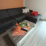 Sonja's