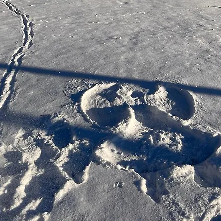 Sonja's شقة Patergassen