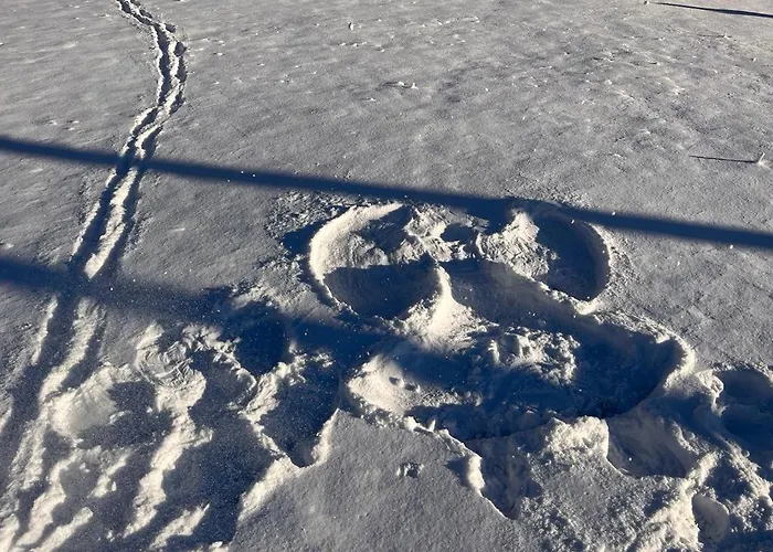 Sonja's Appartamento Patergassen