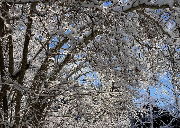 Апартаменты Sonja's *