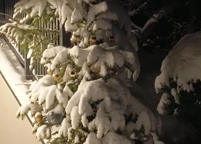 Апартаменты Sonja's Патергассен