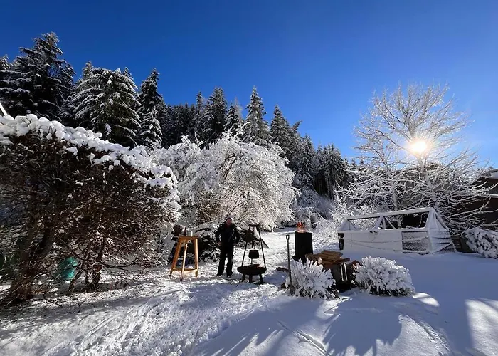 Sonja's Апартаменты *